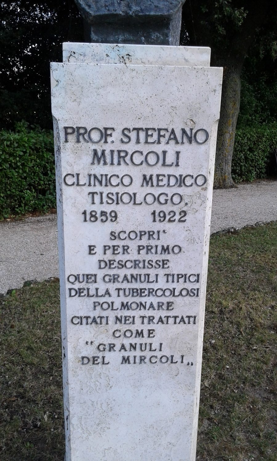 Stefano%20Mircoli%27s%20bust%2C%20Monterubbiano%2C%20Italy%20%28by%20Claudio%20Pensieri%29%20%283%29.jpg